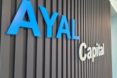 3D-cut-logo-AYAL