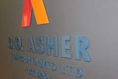 Painted cut out logo installed raised from the wall SO ASHER
