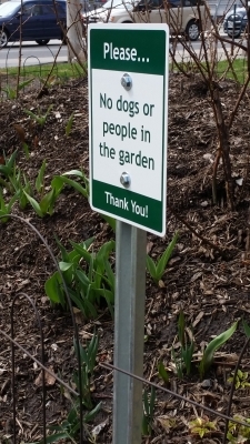 No dogs sign