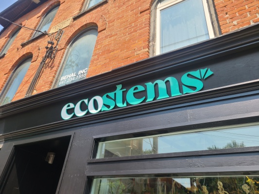 3D-cut-acrylic-logo-Ecostems