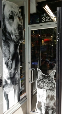 Full color printed window decals