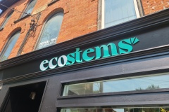 3D-cut-acrylic-logo-Ecostems